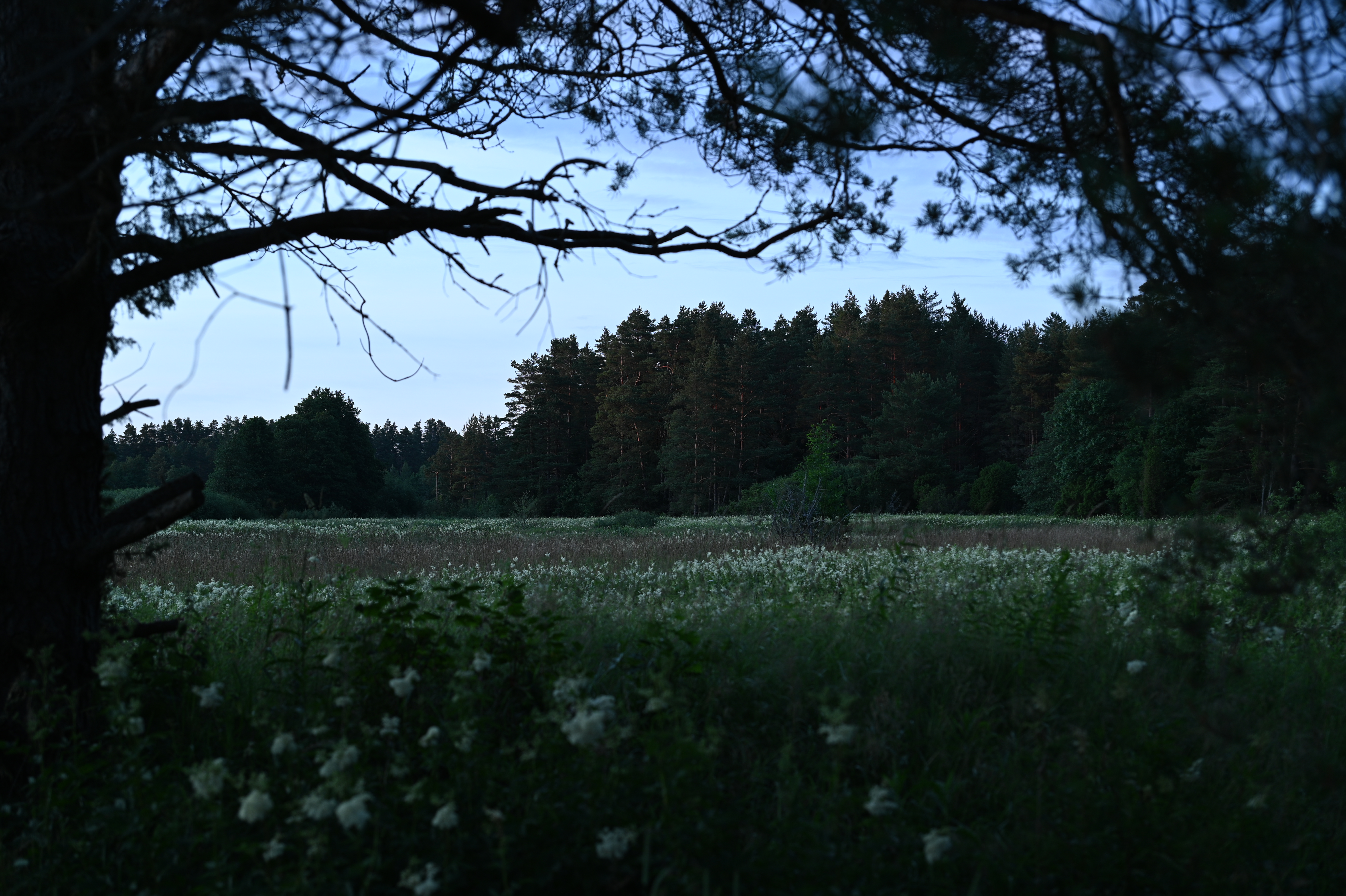 2025/07/09-14 - trip/DSC_0089.JPG